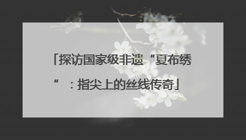 探访国家级非遗“夏布绣”：指尖上的丝线传奇