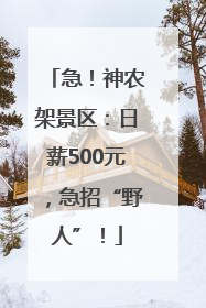急！神农架景区：日薪500元，急招“野人”！