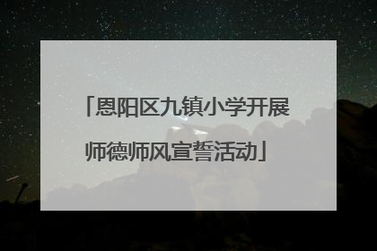 恩阳区九镇小学开展师德师风宣誓活动