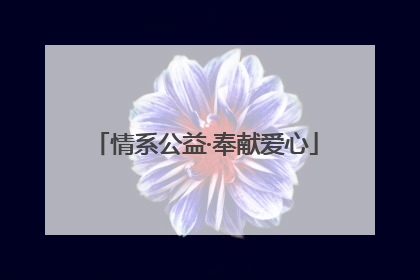 情系公益·奉献爱心