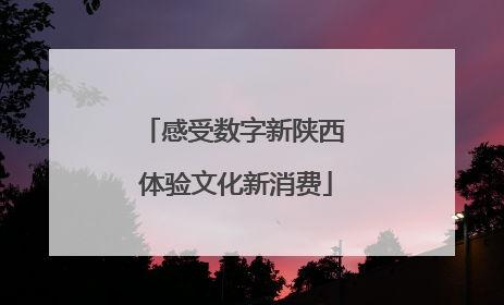 感受数字新陕西 体验文化新消费