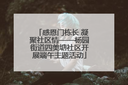 感恩门栋长 凝聚社区情——杨园街道四美塘社区开展端午主题活动