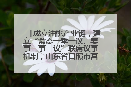 成立油桃产业链，建立“常态一季一议、要事一事一议”联席议事机制，山东省日照市莒县果庄镇——13个党小组“全周期”育果