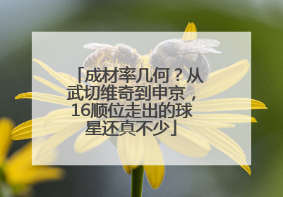 成材率几何？从武切维奇到申京，16顺位走出的球星还真不少
