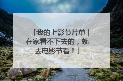 我的上影节片单｜在家看不下去的，就去电影节看！