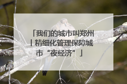 我们的城市叫郑州丨精细化管理保障城市“夜经济”