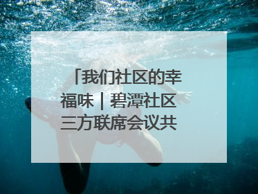 我们社区的幸福味｜碧潭社区三方联席会议共建紫岫幸福家