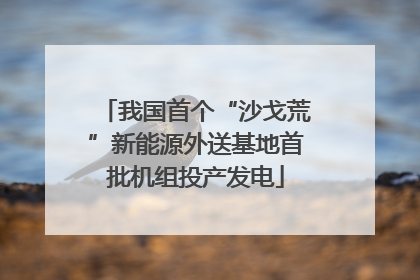 我国首个“沙戈荒”新能源外送基地首批机组投产发电