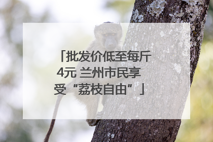 批发价低至每斤4元 兰州市民享受“荔枝自由”