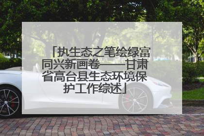 执生态之笔绘绿富同兴新画卷——甘肃省高台县生态环境保护工作综述