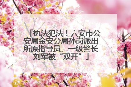 执法犯法！六安市公安局金安分局孙岗派出所原指导员、一级警长刘军被“双开”