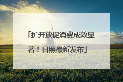 扩开放促消费成效显著！日照最新发布