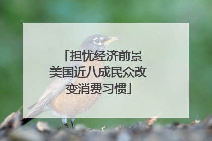 担忧经济前景 美国近八成民众改变消费习惯