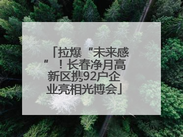 拉爆“未来感”！长春净月高新区携92户企业亮相光博会
