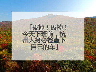 拔掉！拔掉！今天下班前，杭州人务必检查下自己的车