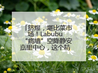 挤爆，堪比菜市场！Labubu“痛墙”空降静安嘉里中心，这个精灵还要“突袭”便利店？