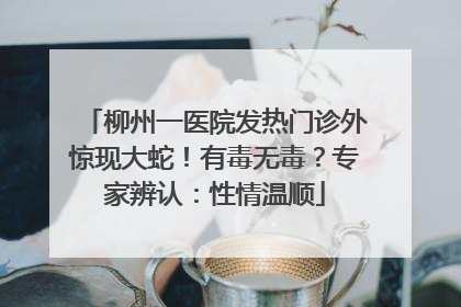 柳州一医院发热门诊外惊现大蛇！有毒无毒？专家辨认：性情温顺