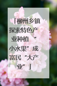 柳州乡镇探索特色产业种植 “小水果”成富民“大产业”