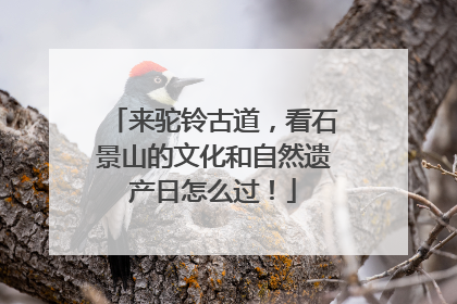 来驼铃古道，看石景山的文化和自然遗产日怎么过！