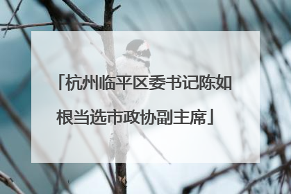 杭州临平区委书记陈如根当选市政协副主席