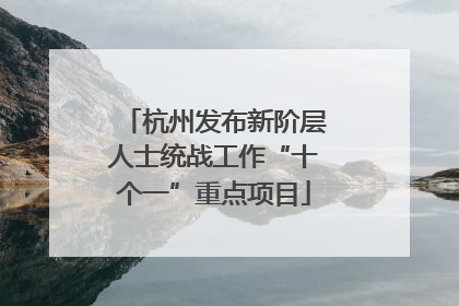 杭州发布新阶层人士统战工作“十个一”重点项目