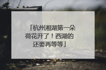 杭州湘湖第一朵荷花开了！西湖的还要再等等