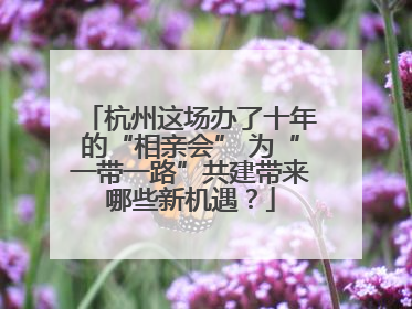 杭州这场办了十年的“相亲会” 为“一带一路”共建带来哪些新机遇？