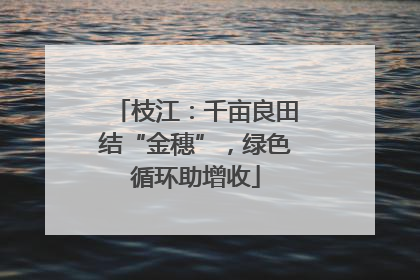 枝江：千亩良田结“金穗”，绿色循环助增收