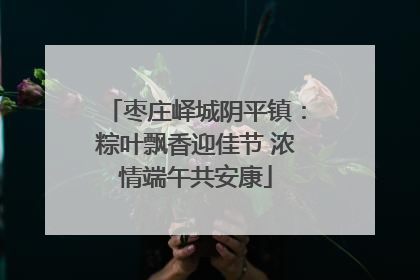 枣庄峄城阴平镇：粽叶飘香迎佳节 浓情端午共安康