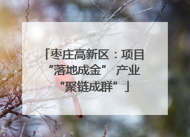 枣庄高新区：项目“落地成金” 产业“聚链成群”
