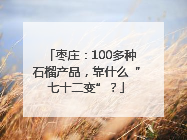 枣庄：100多种石榴产品，靠什么“七十二变”？