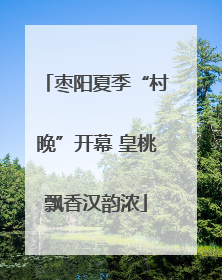 枣阳夏季“村晚”开幕 皇桃飘香汉韵浓