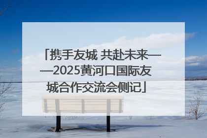 携手友城 共赴未来——2025黄河口国际友城合作交流会侧记