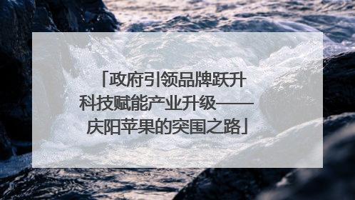 政府引领品牌跃升 科技赋能产业升级——庆阳苹果的突围之路