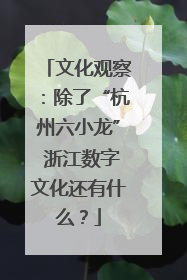 文化观察：除了“杭州六小龙” 浙江数字文化还有什么？