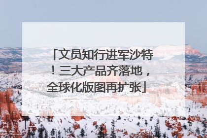 文员知行进军沙特！三大产品齐落地，全球化版图再扩张
