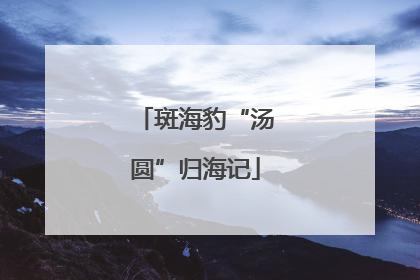 斑海豹“汤圆”归海记