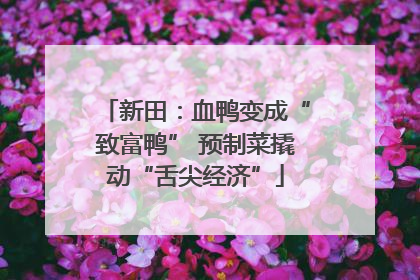 新田：血鸭变成“致富鸭” 预制菜撬动“舌尖经济”