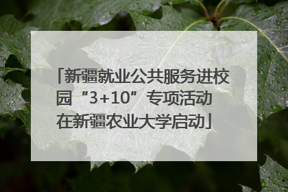 新疆就业公共服务进校园“3+10”专项活动在新疆农业大学启动