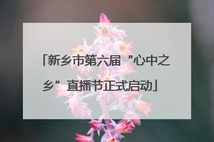 新乡市第六届“心中之乡”直播节正式启动