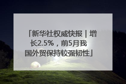 新华社权威快报｜增长2.5%，前5月我国外贸保持较强韧性