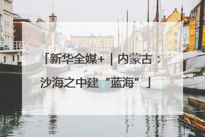 新华全媒+｜内蒙古：沙海之中建“蓝海”