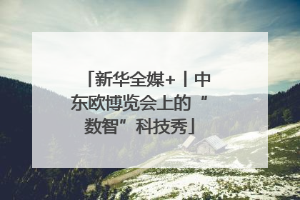 新华全媒+丨中东欧博览会上的“数智”科技秀
