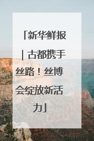 新华鲜报｜古都携手丝路！丝博会绽放新活力