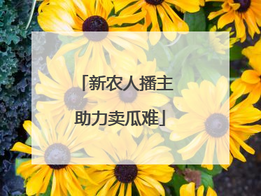 新农人播主 助力卖瓜难