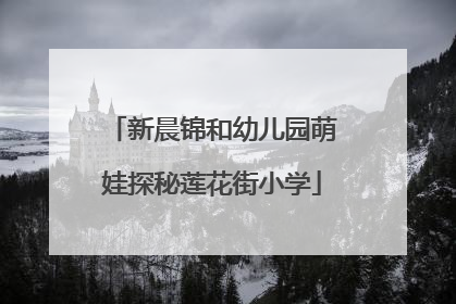 新晨锦和幼儿园萌娃探秘莲花街小学