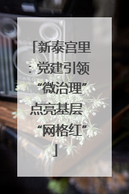 新泰宫里：党建引领“微治理” 点亮基层“网格红”