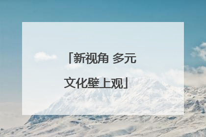 新视角 多元文化壁上观