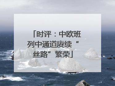 时评：中欧班列中通道赓续“丝路”繁荣