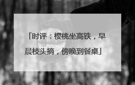 时评：樱桃坐高铁，早晨枝头摘，傍晚到餐桌